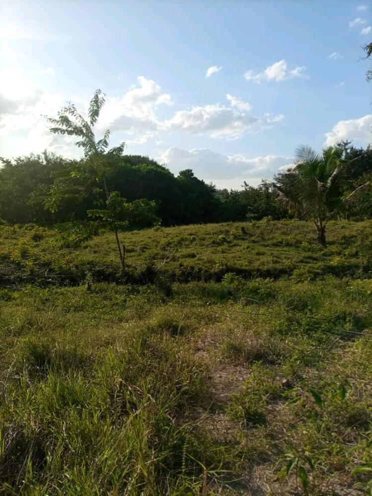 PLOT FOR SALE 3969SMQ AT MTONI KWA AZIZ Kupatana