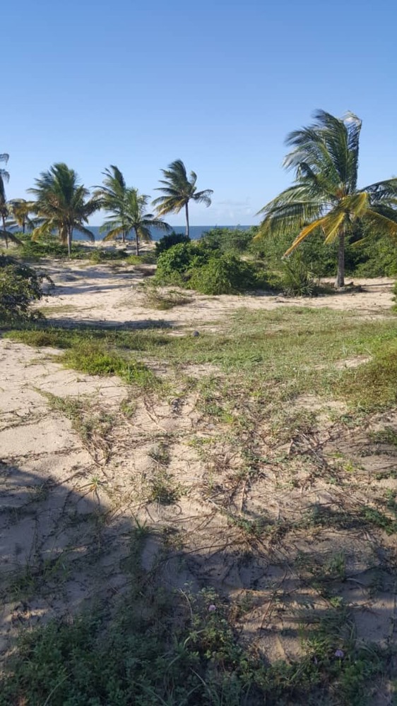 Beach plot for sale at Mtwara-Msimbati | Kupatana