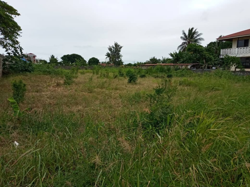 Beach Plot for Sale, Tanga Urban Kupatana