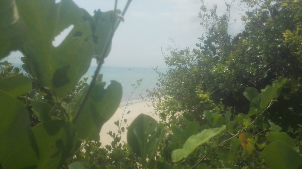 TOWN OCEANFRONT LAND FOR SALE IN ZANZIBA Kupatana