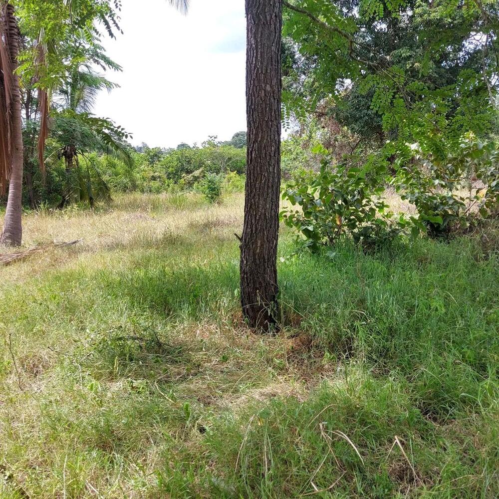 Plot industry for sale at madafu Morogor Kupatana