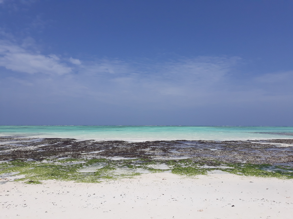 Zanzibar island, Nungwi coast Land for Kupatana