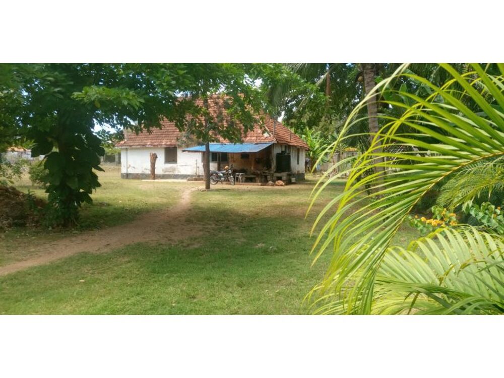 2bed house in the compound at oyster bay Kupatana