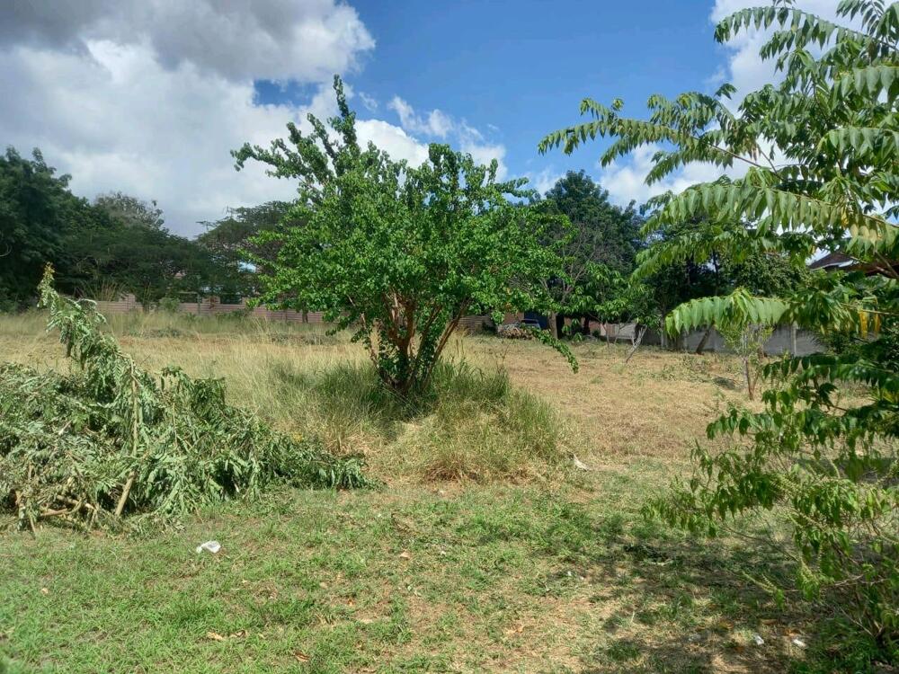 LAND FOR SALE SALASALA Kupatana