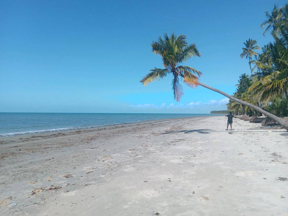 BEACH PROT MKWAJA PANGANI TANGA | Kupatana