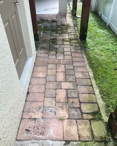 Paving cleaning