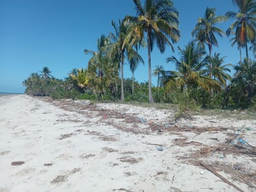 Eneo la beach linauzwa mkwaja