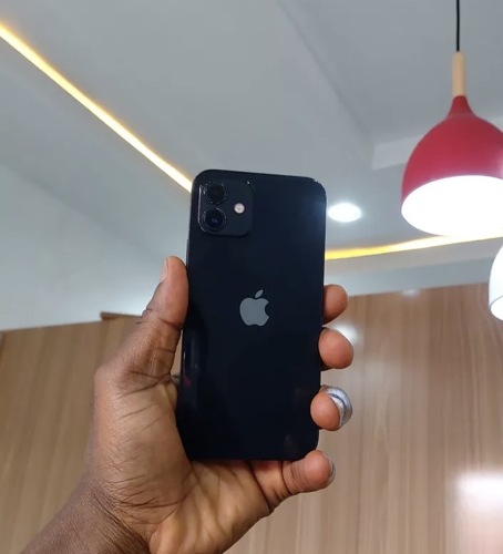 IPhone 12 plain 