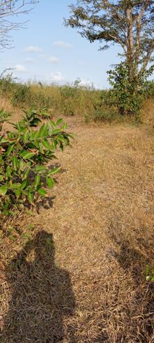 Shamba linauzwa