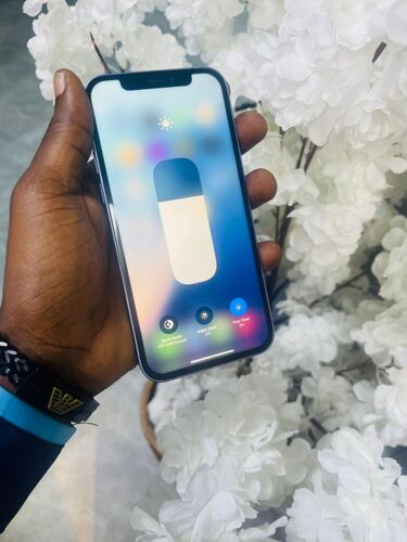 Iphone 12 Plain