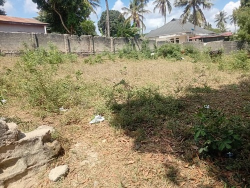 KIWANJA/HATI,SQM.1000 BUNJU-B