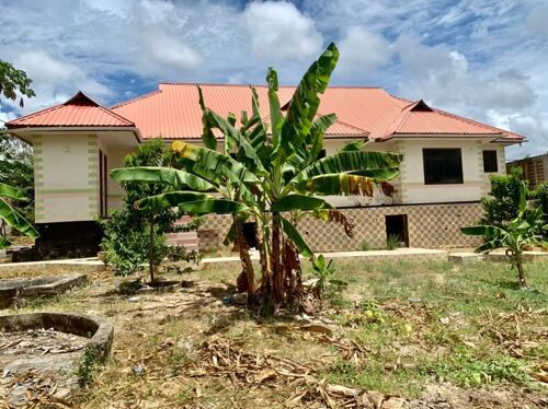 Plotnauza mbez beach