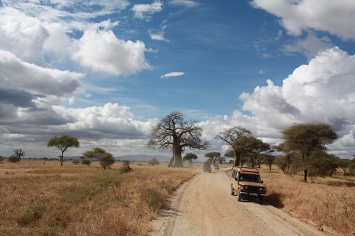 3 Days Safari Lake Manyara, Ngorongoro Crater & Tarangire