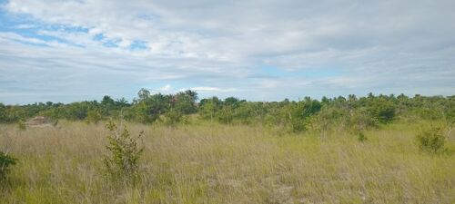 Industrial Plots In Mkuranga 