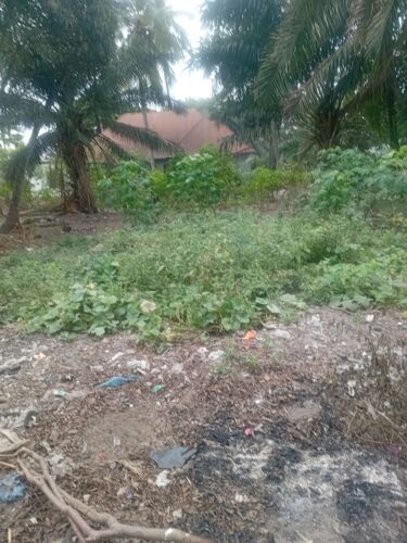 Kiwanja kinauzwa chanika 