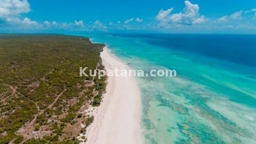 Mkuranga 6 ACRES BEACH PLOT WITH CLEAN TITLE DEED ON SALE AT GREAT DISCOUNTED PRICE!