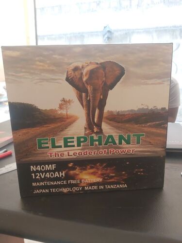 Elephant battery N 40 