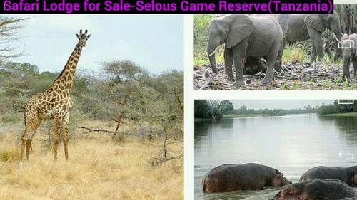 Safari Lodge For Sale Selous Game Reserve