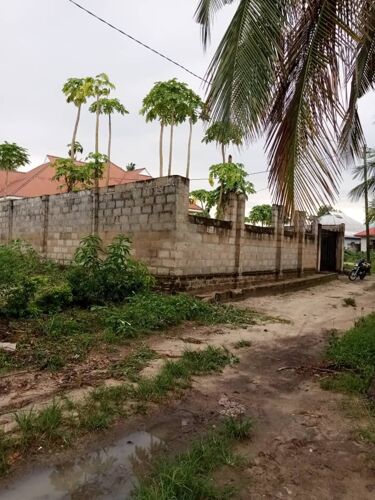 INAUZWA IPO CHANIKA NGUVU KAZI