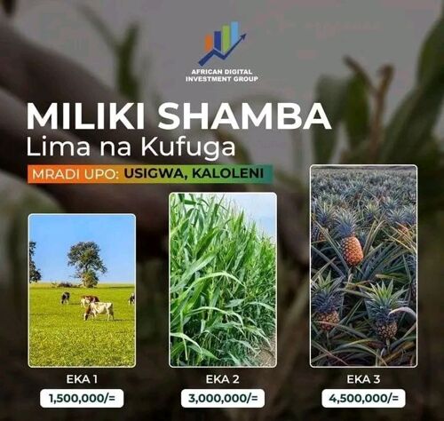 Miliki shamba 
