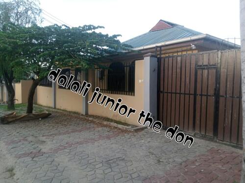 Single loom for rent