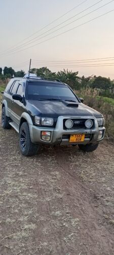 Nissani terrano