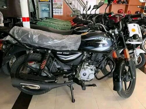 BOEX NAUZA NEW SAFI SANA 