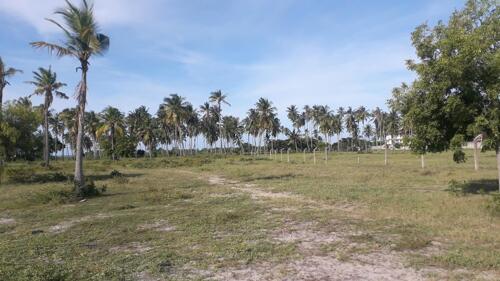 Bagamoyo beach plots for sale