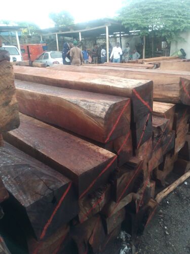 HARD WOOD 