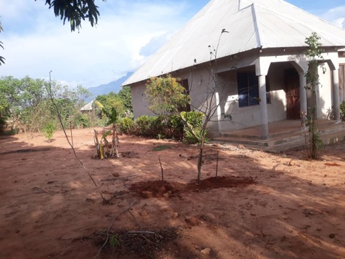 YA-ROOM 3/EKA MOJA MORO