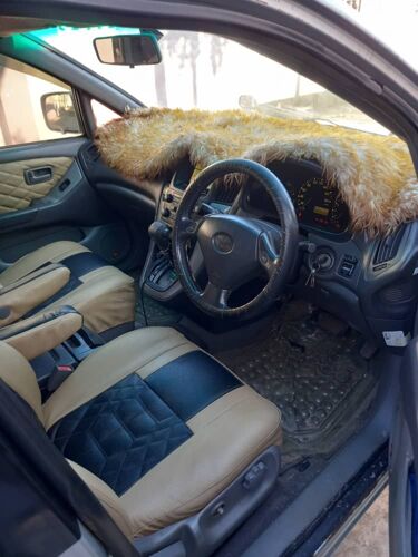 Harrier old