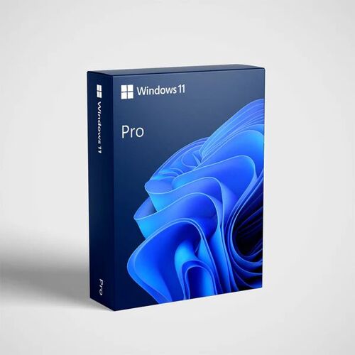 windows 11