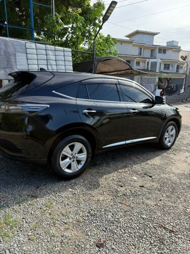 Harrier new model anaconda EJJ