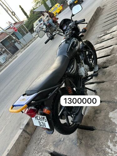 Boxer for sale 