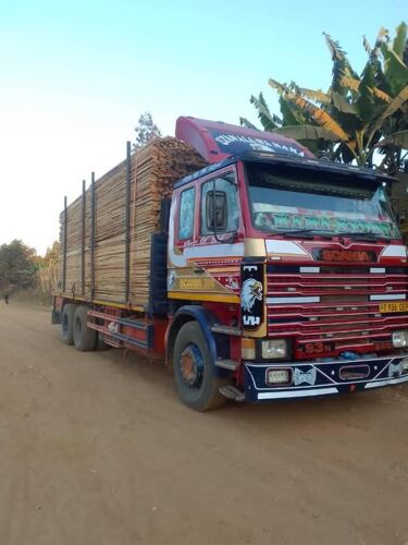 SCANIA 93