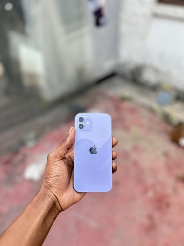 iPhone 12 plain 