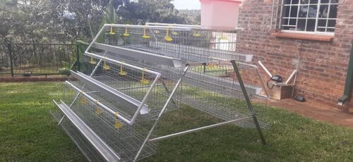 Cages za kufugia kuku