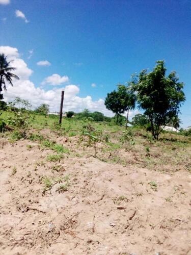 MADALE PLOT FOR SALE FOR 8 MILLION