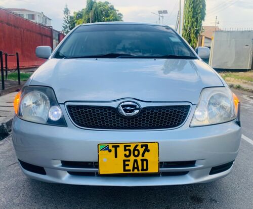 Runx mil 16 nzuri sana dsm