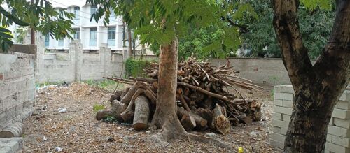  mabibo hostel plot for sale