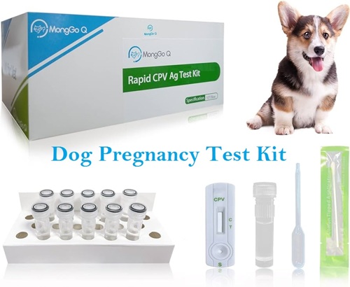 Pregrancy Test Kit 5000Tsh