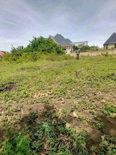 VIWANJA BUNJU VIPO VINGI