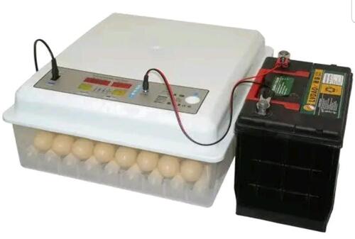 Tunauza full egg automatic incubator