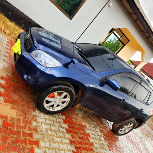 RAV4 Miss TZ