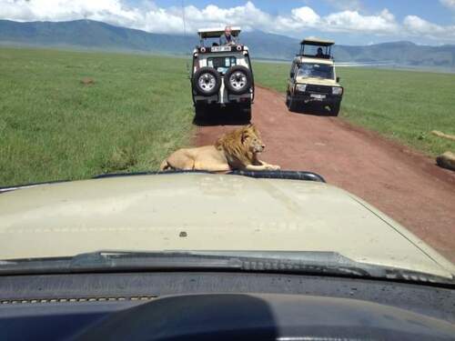 3 Days Safari to Ngorongoro