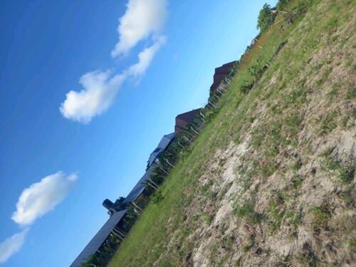 LAND PLOTS FOR SALE AT DEGE/ VIWANJA VINAUZWA DEGE