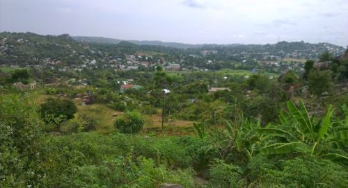 Kiwanja Kikubwa Nganza, Nyegez