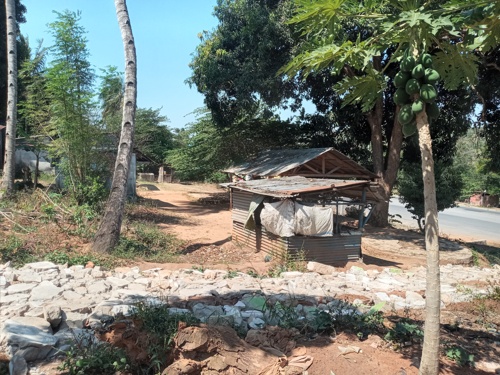 Plot for sale