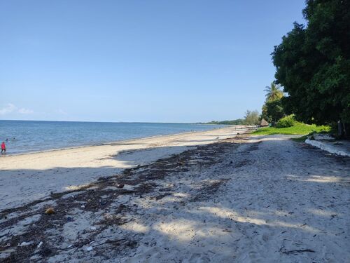 Beach plots for sale Bagamoyo 