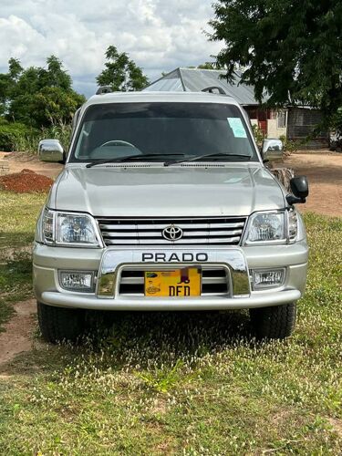 Prado 3rz petrol zuli mno